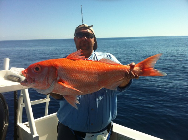 exmouth deep drop hunting